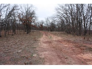 Property photo 17 - Creek County - Oklahoma Land Auction, 1,107 Acres 2 Tracts